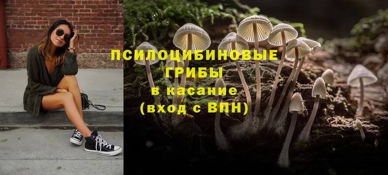 Псилоцибиновые грибы Magic Shrooms  Губаха 